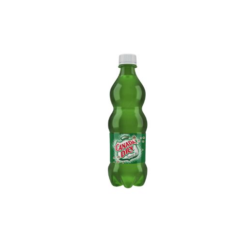 600 ML PET GINGER ALE 12 UND