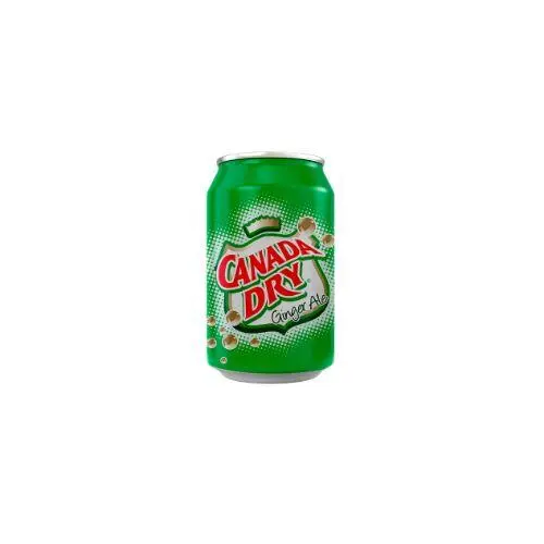 Product shot: green Canada Dry Ginger Ale can with front label visible on white background.