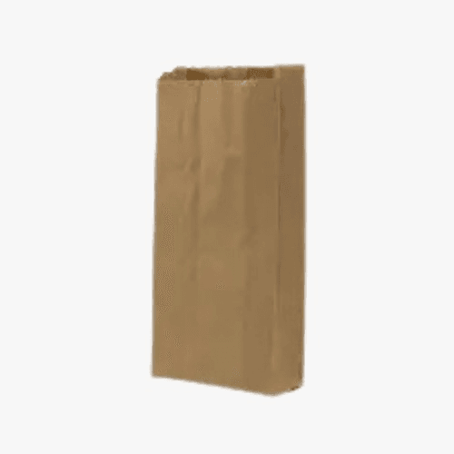 Brown kraft paper grocery bag standing upright, empty for groceries or takeout