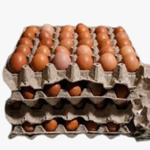 HUEVO MARRON - Costa Rica Food Services l Food Services Stack of brown eggs in gray egg cartons arranged in four layers on a white background.